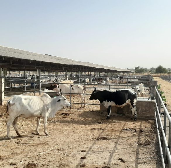 WhatsApp Image 2026-01-22 at 8.21.56 PM (1)