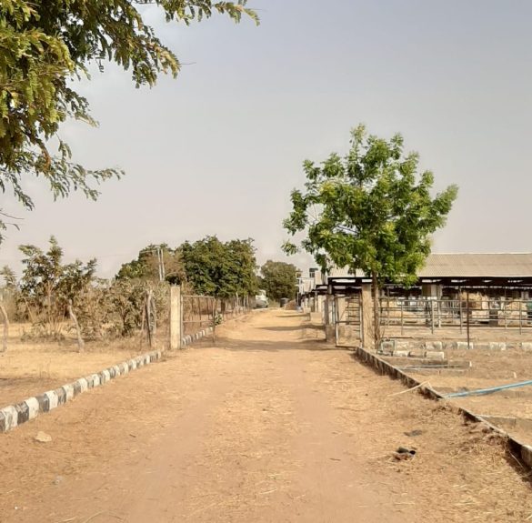 WhatsApp Image 2026-01-22 at 8.21.57 PM (1)