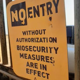 WhatsApp Image 2026-01-22 at 8.21.58 PM (1)