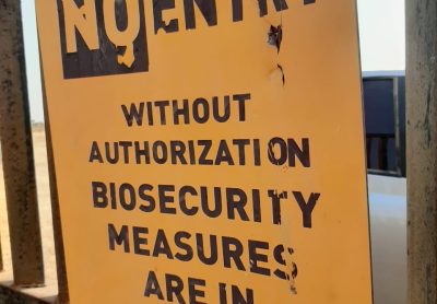 WhatsApp Image 2026-01-22 at 8.21.58 PM (1)