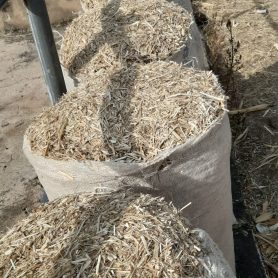 WhatsApp Image 2026-01-22 at 8.22.03 PM