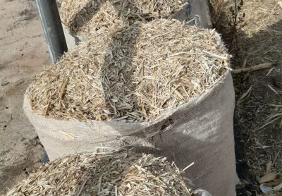 WhatsApp Image 2026-01-22 at 8.22.03 PM