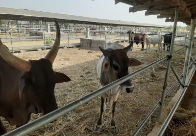 WhatsApp Image 2026-01-22 at 8.22.09 PM