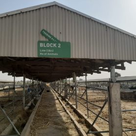 WhatsApp Image 2026-01-22 at 8.22.11 PM