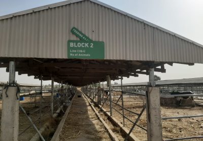 WhatsApp Image 2026-01-22 at 8.22.11 PM